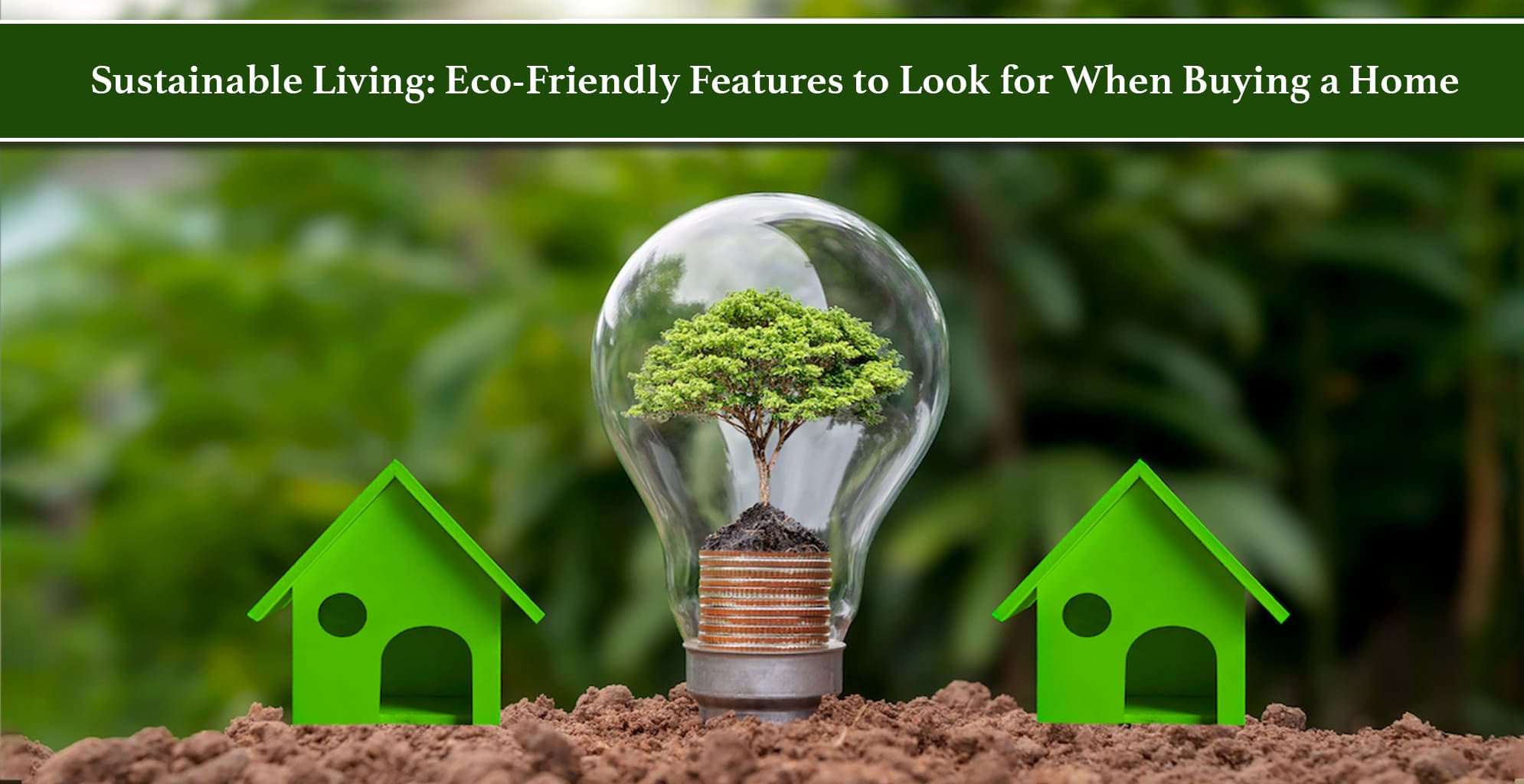 eco-friendly-home-features-buyers-are-looking-for