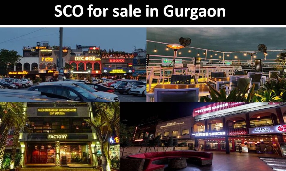 top-10-sco-plots-locations-gurgaon